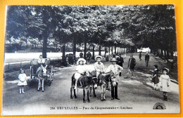 BRUXELLES -  Les ânes  -  Parc Du Cinquantenaire  -  1920 - Forêts, Parcs, Jardins