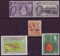 Europe - Grande Bretagne Colonies - Montserrat - Lot De 5 Timbres Différents - 7330 - Other & Unclassified