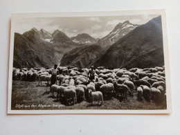 D202608  AK CPA - Bregenz - Idyll Aus Den Allgäuer Bergen - Sheep  Schaf Mouton Et Troupeau, Pâturage 1930's  FOTO-AK - Bregenz