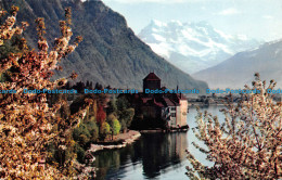 R074083 Lac Leman. Le Chateau De Chillon Et Les Dents Du Midi Au Printemps. Jaeg - World