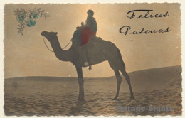 Maghreb: Berber On Camel In The Sunset (Vintage Hand Colored RPPC 1920s/1930s) - Other & Unclassified