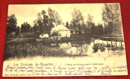 BRUXELLES -    WATERMAEL BOITSFORT   -     L' Etang De Pêche Royale à Watermael -  1903    - - Watermaal-Bosvoorde - Watermael-Boitsfort