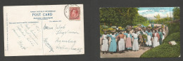 BC - Jamaica. 1931 (17 Jan) White Creek - Germany, Regensburg. Early Market Ladies Color Fkd Ppc. SALE. - Autres & Non Classés