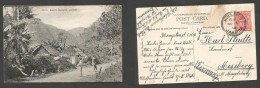 BC - Jamaica. 1910 (5 Nov) Kingston - Germany, Meseberg. Fkd Early Ppc. Castleton. Fine. SALE. - Otros & Sin Clasificación