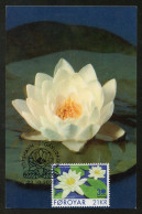 FAROE ISLANDS (2023) Carte Maximum Card - PostEurop White-Water Lily, Nymphaea Alba, Nénuphar Blanc, Seerose, Nenúfar - Faeroër