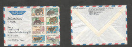 FRC - Cameroun. 1963 (26 Jan) Bali - Bamenda - Switzerland, Riehen, Air Multifkd Env. Fauna Issue. Elephants + Hippos. V - Autres & Non Classés