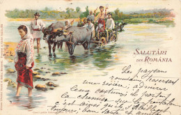 ROUMANIE #FG57244 SALUTARI DIN ROMANIA ATTELAGE DE BOEUFS 1900 - Romania