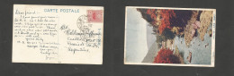 JAPAN. 1913 (10 Jan) Tochigi - Argentina, Rosario De Santa Fe. Color Fkd Ppc. Shiodara. Better Dest. SALE. - Autres & Non Classés