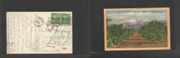 USA - Prexies. 1949 (11 Aug) Santa Barbara, CA - Denmark, Leben Naouk. Multifkd Ppc + Taxed + Aux Cachet + Green Arrival - Other & Unclassified