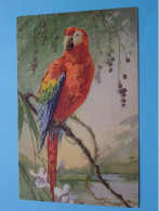 Lot De 3 >> Birds - Vogels - Oiseaux - Aves - Vögel ( Edit.: N° 119 - 120 - 324 ) Anno 19?? ( Zie/voir Foto 's ) ! - Vogels