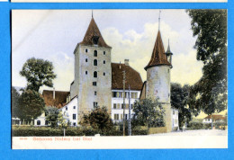 VIX118, Schloss Nidau Bei Biel, Bienne, 28166, Non Circulée - Bienne