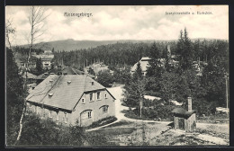 AK Schreiberhau /Riesengebirge, Josephinenhütte Und Hochstein  - Schlesien