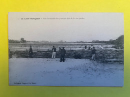 La Loire Navigable Bateliers Navigation Péniche Vue D Ensemble Des Premiers épis Rive Gauche Mariniers - Other & Unclassified