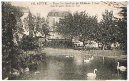 34 SETE CETTE  JARDIN DU CHATEAU D EAU  LES CYGNES 1927 - Sete (Cette)