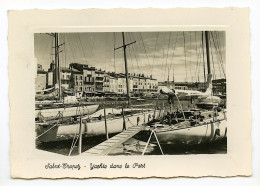 SAINT-TROPEZ - Yachts Dans Le Port - Saint-Tropez