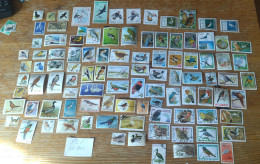 PL1-LOTE 100 SELLOS DIFERENTES AVES ,PAJAROS,BONITOS SELLOS CONMEMORATIVOS.SIN TASAR. - Andere & Zonder Classificatie