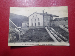 Carte Postale CPA - DOIZIEU (42) - Hôtel Du Collet (B409) - Autres & Non Classés