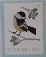 VEREINIGTE STAATEN ETATS UNIS USA 2018 BIRDS IN WINTER: BLACK-CAPPED CHICKADEE F USED ON PAPER SN 5317 MI 5537 YT 5155 - Usati