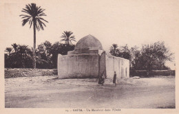 Tunisie, Gafsa, Un Marabout Dans L’Oasis - Tunesië