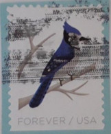 VERINIGTE STAATEN ETATS UNIS USA 2018 BIRDS IN WINTER: BLUE JAY F USED ON PAPER  SN 5319 MI 5539 YT 5157 - Used Stamps