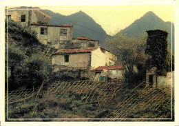 Espagne - Espana - Islas Canarias - Hernigua - CPM - Voir Scans Recto-Verso - Autres & Non Classés