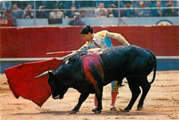 Corrida - Toreando Con La Muleta Al Natural - CPM - Voir Scans Recto-Verso - Corrida