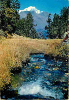 73 - Bourg St Maurice - Les Arcs - Torrent à L'eau Claire Et Limpide Descendant De La Vallée De L'Arc - CPM - Voir Scans - Autres & Non Classés