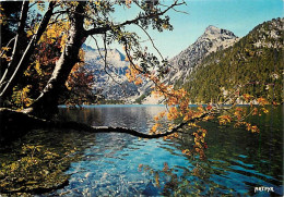 65 - Hautes Pyrénées - La Route Des Lacs - Le Lac D'Orédon - CPM - Voir Scans Recto-Verso - Autres & Non Classés