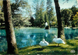 36 - Chateauroux - Le Lac Du Jardin Public - Cygnes - CPM - Voir Scans Recto-Verso - Chateauroux