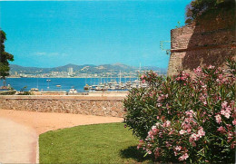 20 - Ajaccio - La Forteresse - Le Port - Fleurs - CPM - Voir Scans Recto-Verso - Ajaccio