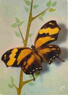 Animaux - Papillons - Papillons Exotiques - Protogonius - Hipona (Guyanes) - CPM - Voir Scans Recto-Verso - Butterflies