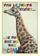 Animaux - Girafes - Carte Humoristique - Carte Neuve - CPM - Voir Scans Recto-Verso - Jirafas