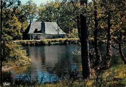 19 - Saint Privat - Etang De Malesse - CPM - Voir Scans Recto-Verso - Andere & Zonder Classificatie