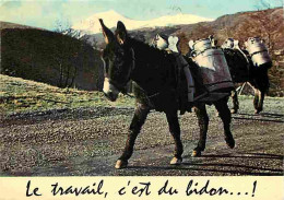 Animaux - Anes - Carte Humoristique - Pots De Lait - CPM - Voir Scans Recto-Verso - Burros