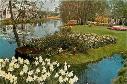 Pays-Bas - Nederland - Lisse - Keukenhof - Fleurs - CPM - Voir Scans Recto-Verso - Lisse