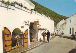 AK 210951 SPAIN - Mijas - Servicio Burro Taxis - Andere & Zonder Classificatie