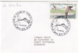 Saint Pierre 1996, Letter Sent To Germany, Stamped Bird Motive - Briefe U. Dokumente