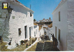 AK 210953 SPAIN - Mijas - Calle Del Pinar - Andere & Zonder Classificatie