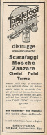 TANGLEFOOT Fly Spry Distrugge Gli Insetti - Pubblicità Del 1927 - Advert - Advertising