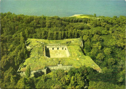 CPSM Grand Format LA FRANCE VUE DU CIEL  ILE S'AIX  Fort Liédot   Colorisée  RV - Other & Unclassified