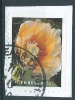 VERINIGTE STAATEN ETATS UNIS USA 2019 CACTUS FLOWERS: OPUNTIA ENGELMANNII F USED ON PAPER SN 5350 MI 5566 YT 5186 - Used Stamps