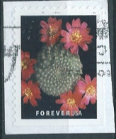 VERINIGTE STAATEN ETAS UNIS USA 2019 CACTUS FLOWERS: REBUTIA MINUSCULA F USED ON PAPER SN 5351 MI 5567 YT 5187 - Used Stamps