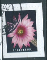 VERINIGTE STAATEN ETAS UNIS USA 2019 CACTUS FLOWERS: ECHINOCEREUS POSELGERI F USED ON PAPER SN 5353 MI 5569 YT 5189 - Used Stamps