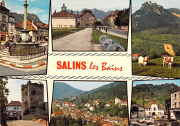 39 - Salins Les Bains - Multivues - Autres & Non Classés