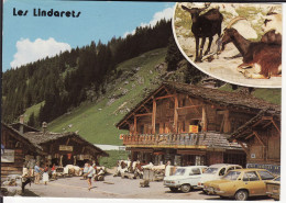 HAUTE-SAVOIE - LES LINDARETS En 2 Vues - Editions J. Cellard - N° E. 62975 - Autres & Non Classés