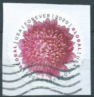 VEREINIGTE STAATEN ETATS UNIS USA 2020 CHRYSANTHEMUM USED ON PAPER SN 5460 MI 5698 YT 5307 - Used Stamps