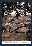 Italie. Pesaro - Urbino.  Carpegna (Montefeltro- Monte Carpegna). Panorama. 1956 - Pesaro