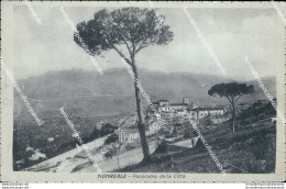 Bn240 Cartolina Monreale Panorama Della Citta' Palermo Sicilia - Palermo