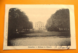 GOSSELIES  -  Château Du Chapois - Charleroi