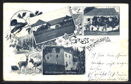 AK Vorderweissenbach, Fürstl. Starhemb. Jagdhaus Und Forsthaus Brunnwald, Gasthaus  - Autres & Non Classés